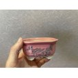 Photo4: No.Maru512 <br>Bunzan shohin bonsai pot set, 4pcs (4)