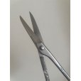 Photo6: No.8103  Bud Shears, new type [90g/160mm]