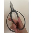 Photo4: No.0501 <br>Gardening Shears [160g/180mm] (4)