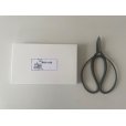 Photo1: No.0501 <br>Gardening Shears [160g/180mm] (1)