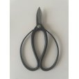 Photo2: No.0501 <br>Gardening Shears [160g/180mm] (2)