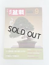 No.Kinbon SAL  Annual subscription of monthly magazine “Kinbon”, Japanese version (Postage by SAL)