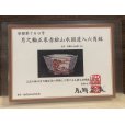 Photo15: No.MH4827 Tsukinowa shousen bonsai pot