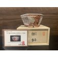 Photo1: No.MH4827<br>Tsukinowa shousen bonsai pot (1)