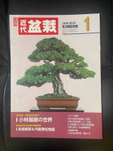 No.Kinbon Sea  Kinbon subscription by sea Annual subscription ( 12 copies ) Postage by sea