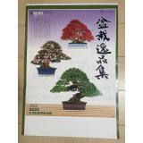 No.TB0305 Bonsai calendar