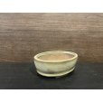 Photo3: No.MH4884  Heian Kozan 1st, Hakuyu oval, cream