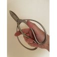 Photo4: No.8501 <br>Garden Shears [160g/180mm] (4)