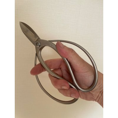 Photo4: No.8501  Garden Shears [160g/180mm]