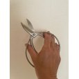 Photo5: No.8501 <br>Garden Shears [160g/180mm] (5)