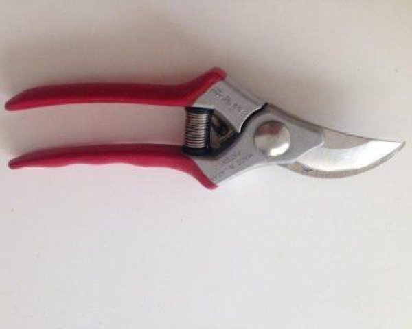 Photo1: No.8210  Pruning Shears [200g/188mm] (1)