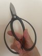 Photo4: No.0501  Gardening Shears [160g/180mm] (4)