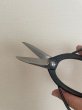 Photo5: No.S-1  S-TRIM, SHEARS [150g/180mm] (5)