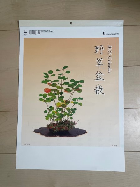 Photo1: No.2025CA-1 Bonsai calendar (1)