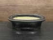 Photo2: No.MH4879 Heian Tofukuji 1st, Ruriyu oval pot (2)