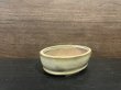 Photo3: No.MH4884  Heian Kozan 1st, Hakuyu oval, cream (3)