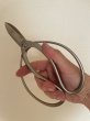 Photo4: No.8501  Garden Shears [160g/180mm] (4)